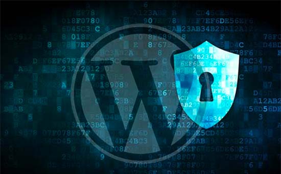 WordPress güvenliği 