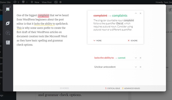 Grammarly Window in WordPress Post Editor