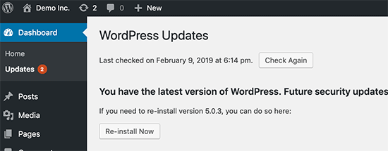 Mantén WordPress actualizado