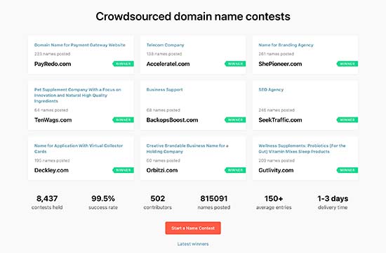 Domain Name Contest by Name Station