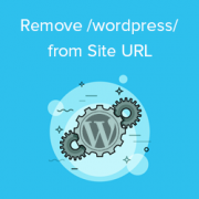 How to Get Rid of /wordpress/ From your WordPress Site URL How to Get Rid of /wordpress/ From your WordPress Site URL
