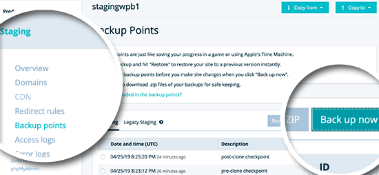 Create a backup point for your staging website