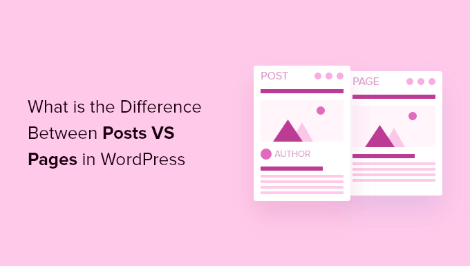 What is the difference between posts and posts? pages in WordPress?