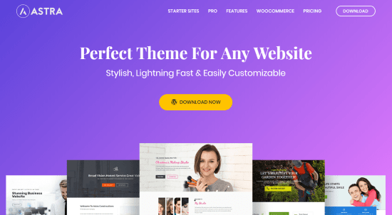 Astra WordPress theme