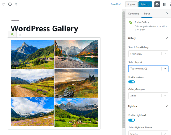 Envira Gallery Best WordPress Block for Photo Gallery