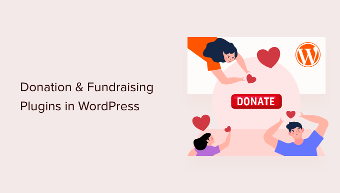 Best WordPress donation plugins
