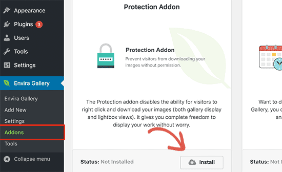 Install the protection add-on