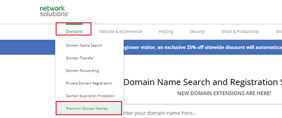 Network Solutions premium domain names