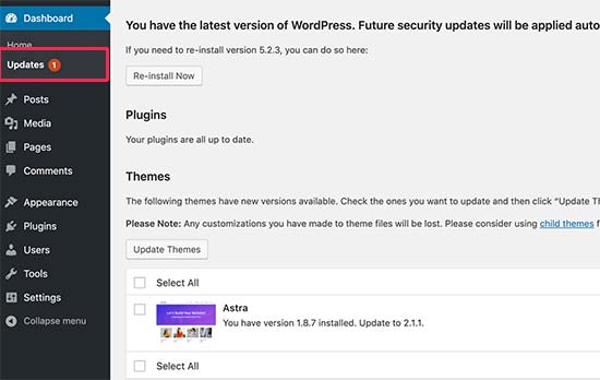 WordPress updates