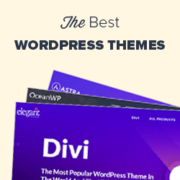 2020's Most Popular And Best WordPress Themes (Expert Pick)