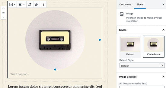 Impostazioni del blocco di immagini in WordPress 5.3