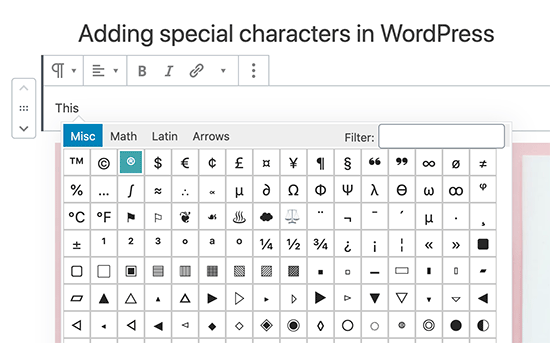 Добавление специальных символов в редакторе блоков WordPress Gutenberg