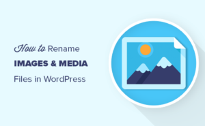 How to Rename Images and Media Files in WordPress