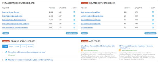 The SEMrush tool showing more keyword options