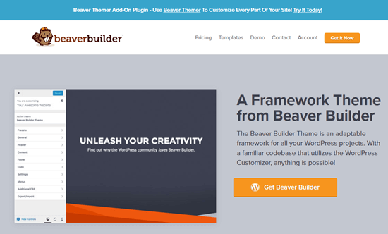 The Beaver Builder theme's website