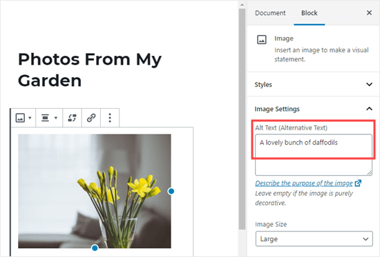 Adding alt text to an image in the WordPress block editor