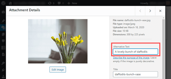 Image Alt Text vs Image Title in WordPress - What's the Difference?