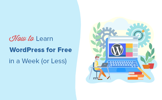 일주일에 WordPress를 무료로 쉽게 배우는 방법