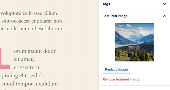 Anteprima immagine in primo piano nell'editor dei post