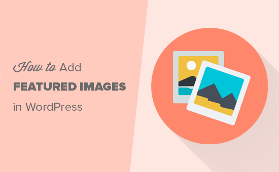Adding featured images in WordPress