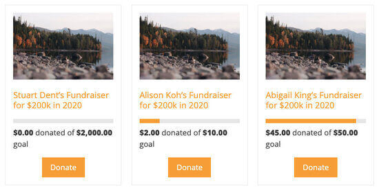 Display multiple fundraising campaigns with WP Charitable