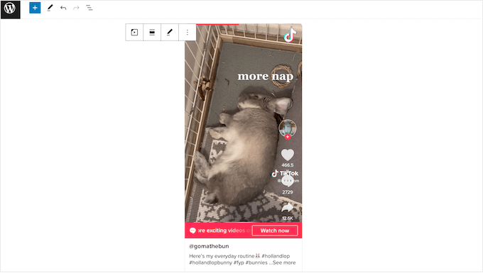 Embedding TikTok videos on a WordPress blog site or site