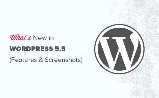 Caractéristiques et captures d'écran de WordPress 5.5