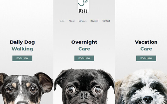 21 Best WordPress Themes for Animals and Pets (2023)