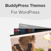 Best BuddyPress Themes For Your WordPress Website