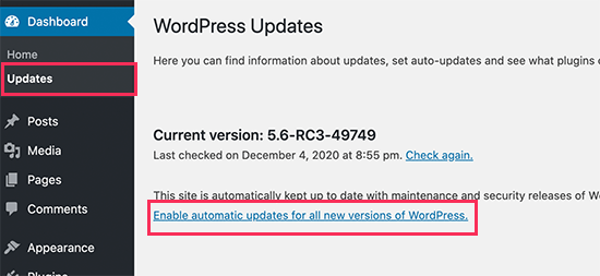 Enable automatic updates for major WordPress releases