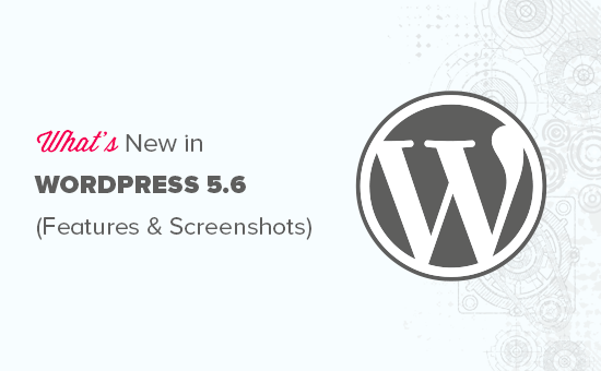 What’s New in WordPress 5.6 (Features and Screenshots)
