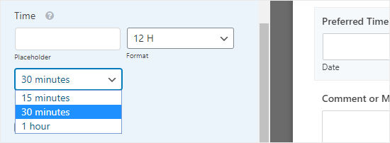 Change Time Intervals Wpforms