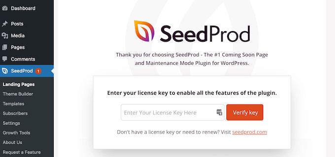 Including the SeedProd license secret to your WordPress site