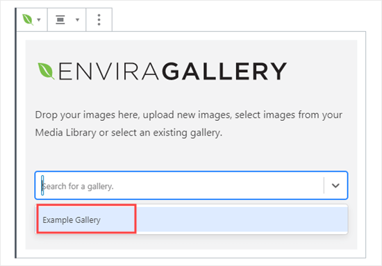 Select your gallery from the Envira Gallery block