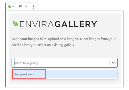 Envira Gallery Block Select Gallery