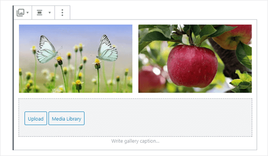 Due immagini nella galleria (farfalle e mele)