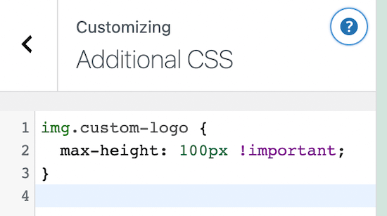Additional CSS WordPress customizer