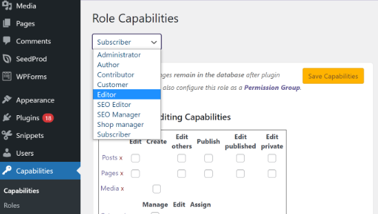 Select user role capabilities