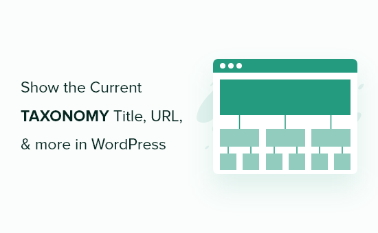 Display current taxonomy title, URL, and more in WordPress theme