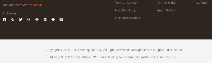 Copyright notice in theme footer