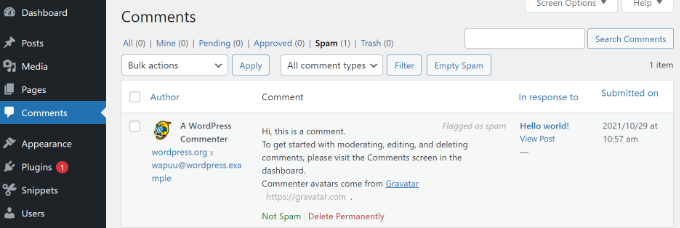 Spam comments in WordPress