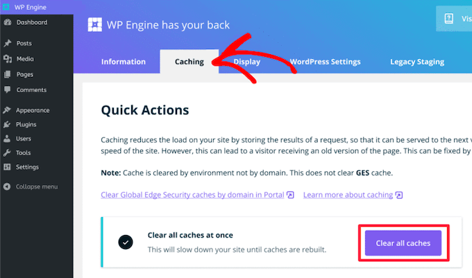 How do I clear my WordPress cache?