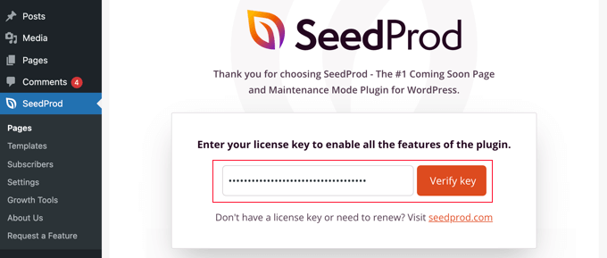 Enter Your SeedProd License Key