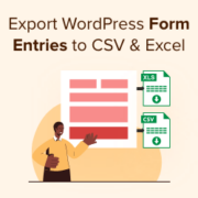 Export WordPress form entries to CSV and Excel