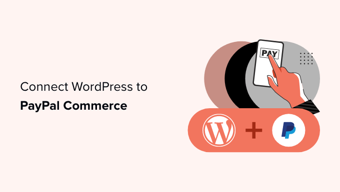 Easily connecting WordPress to PayPal Commerce