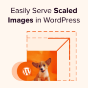 How to Easily Serve Scaled Images in WordPress (Step by Step)