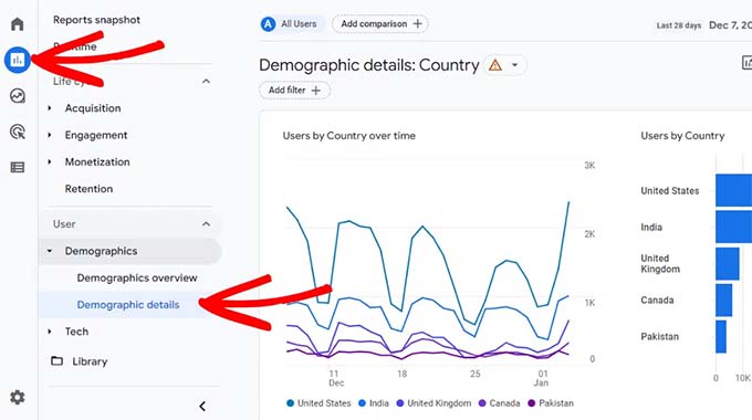 Google Analytics demographics details